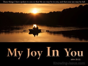 John 15:11